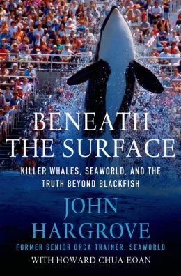 Beneath the Surface by John Hargrove